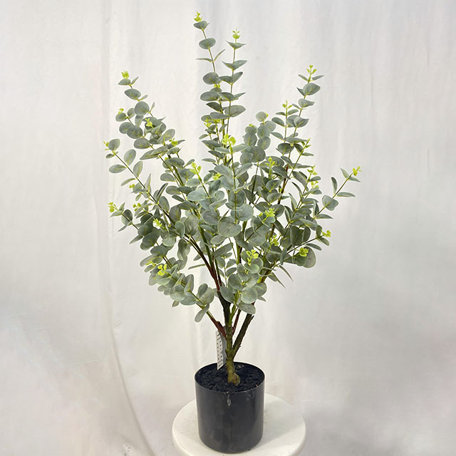 QH27G3083 金钱树90cm.jpg