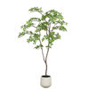 Artificial Ficus Tree in Black Plastic Pot