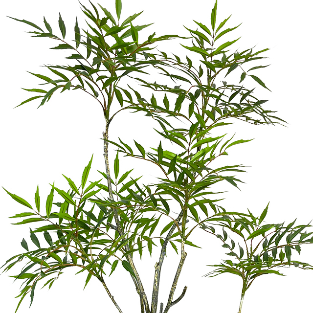 Artificial Mahonia Fortunei Tree 48inches Tall Fake Trees For Indoor Large Mahoni