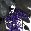 Artificial 12-inch Purple Fruit Pulp Halloween Garland Gothic Black Garland Decoration