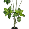 70inch Faux Ficus Lyrata Tree Artificial Plant Indoor Outdoor Tall with Realistic Long Lasting Color Leaves in Pot - Low Maintenance Fake Fig Tree for Home
