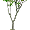 Artificial 59inch Money Tree with Pot, Tall Fake Tree Plant with Realistic Leaves, Lifelike Faux Tree for Indoor Outdoor Home Office Living Room Decor