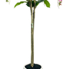 60inch Artificial Fake Wisteria Trees In Nursery Pot,Indoor Outdoor Greenery Tall Faux Floor Floor Plants