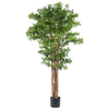 71inch Tall Artificial Tung Tree, , Tall Faux Trees Natural Trunk Indoor Outdoor Decorative Potted Tree for