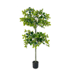 Artificial 51-Inch Polyscias (Ming Aralia) Tree – Realistic Faux Greenery Potted Plant, Plastic Fake Bonsai Tree 