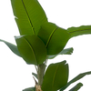 Artificial 71-inch Three-Pole Banana Tree a Large Tropical-Style Artificial Plant for Home Decor