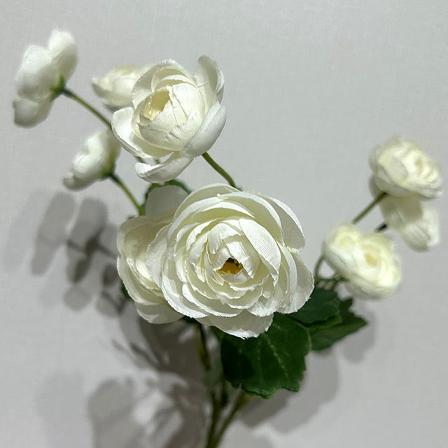 Artificial Long Stem Pure White Ranunculus, Multi-Bloom with Green Foliage