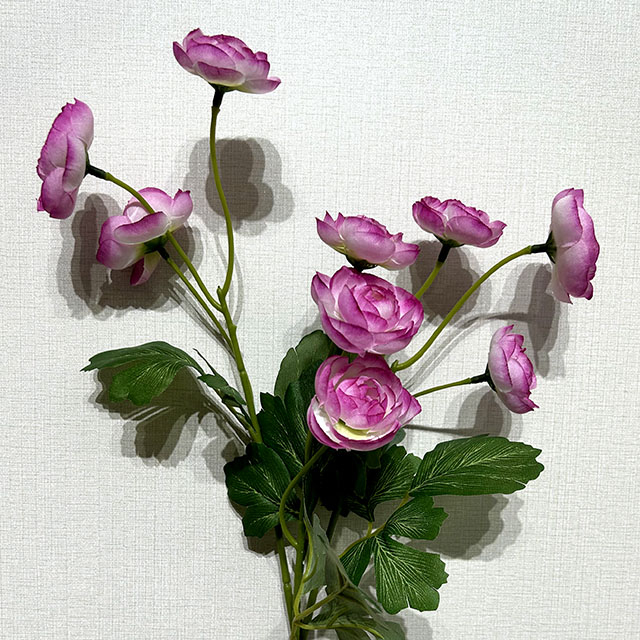 Artificial Long Stem Two-Tone Pink Ranunculus, Multi-Bloom with Green Foliage