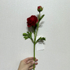 Artificial Deep Red Ranunculus, Single Bloom with Bud & Green Foliage