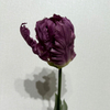 Artificial Frilly Dark Purple Parrot Tulip Stem