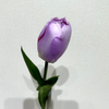 Artificial Two-Tone Purple & White Tulip Stem, Long Stem with Foliage.