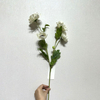 Artificial White Anemone Stem, 4-Bloom with Foliage