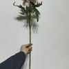 Artificial Blush Pink Delphinium Stem