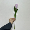 Artificial Two-Tone Purple & White Tulip Stem, Long Stem with Foliage
