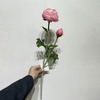  Blush Pink Ranunculus Stem Artificial
