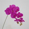 Artificial Phalaenopsis Orchid Stem Bundle (13 Color Options)