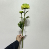 Artificial Gradient Green Ranunculus Stem