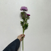 Artificial Lavender Purple Ranunculus Stem