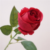 Artificial Rose Bud Stem Bundle (3 Color Options)