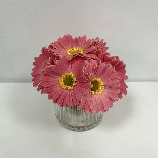 Artificial Blush Pink Gerbera Daisy Stem Bundle