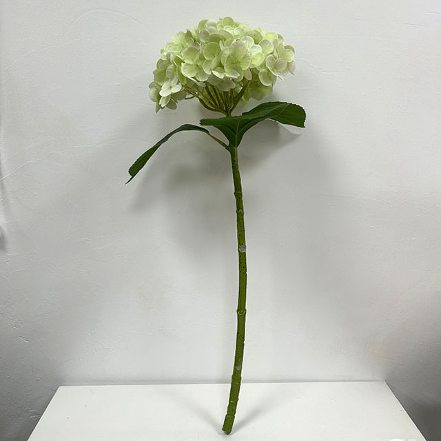 QH26327073 011.jpg