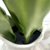 Artificial Flower Stem White Tulip