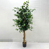 Artificial Ficus Tree (Faux Weeping Fig / Ficus Benjamina Tree with Lush Evergreen Foliage)