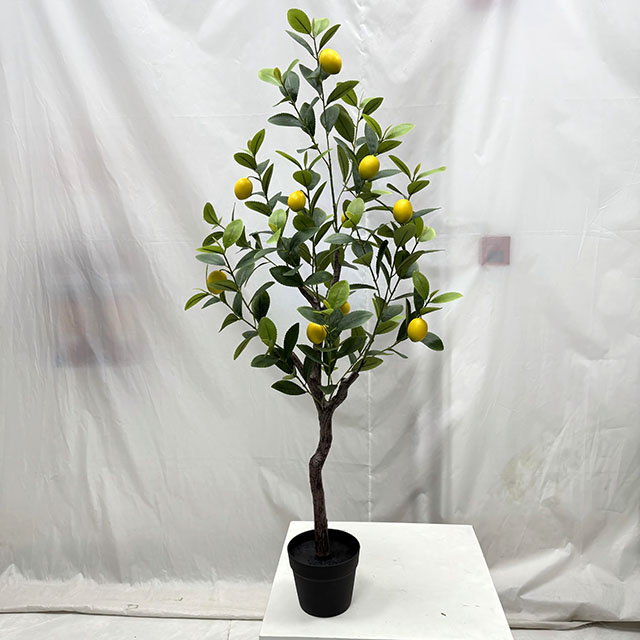 QH27G3138 120cm.jpg
