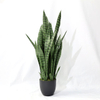 Artificial Cactus Succulent Tree (Faux Snake Plant / Sansevieria with Iconic Striped Leaves)