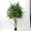 Artificial Ficus Tree (Ficus Benjamina)