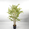 Artificial Bamboo Tree (Faux Lucky Bamboo / Phyllostachys Bamboo Tree)
