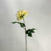 Single Stem Artificial Dahlia, Cream Yellow with Blush Pink Tips