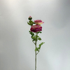 Single Stem Artificial Ranunculus, Gradient Pink-Orange