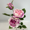 3-Head Single Stem Artificial Garden Rose, Blush Pink with White Edge