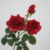 Artificial Multi-head Rose Stem Bundle (7 Color Options)