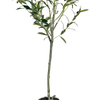 Nearly Natural 59 Inches. Olive Artificial Tree