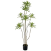 Artificial Dracaena Reflexa Plants for Indoor & Outdoor with Pot (63inch)