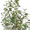 Emerald 48inch Artificial Eucalyptus Tree in Pot 