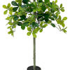 Artificial 51-Inch Polyscias (Ming Aralia) Tree – Realistic Faux Greenery Potted Plant, Plastic Fake Bonsai Tree 