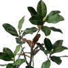 Simulated Bonsai Tree 35.4 Inches Tall Artificial Plant Magnolia Tree Indoor And Outdoor Home Fake Plant Decoration