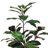 Artificial 35.4inch Silk Magnolia Leaf Tree In White Pot