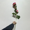 3-Head Single Stem Artificial Ranunculus, Pink-Peach Bi-Color Ombré