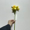 3-Head Single Stem Artificial Daffodil, Light Yellow with Orange-Green Ruffled Center