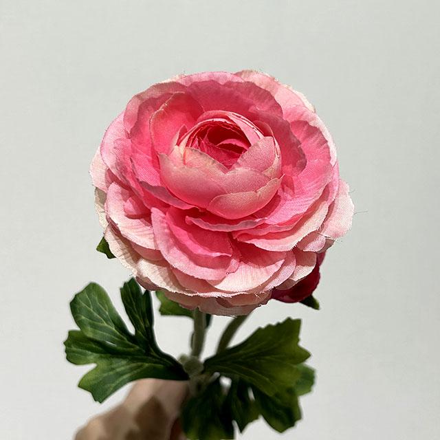 Artificial Blush Pink Ranunculus Stem