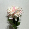 Artificial Cafe Au Lait Dahlia Stem