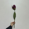 Artificial Frilly Dark Purple Parrot Tulip Stem