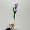 Artificial Two-Tone Purple & White Tulip Stem, Long Stem with Foliage.
