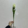 Artificial Light Green Tulip Stem, Long Stem with Foliage