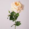 Artificial Austin Rose Stem Bundle (10 Color Options)