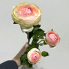 Artificial Gradient Cream-Pink Multi-Bloom Ranunculus Stem